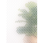 Photo : 