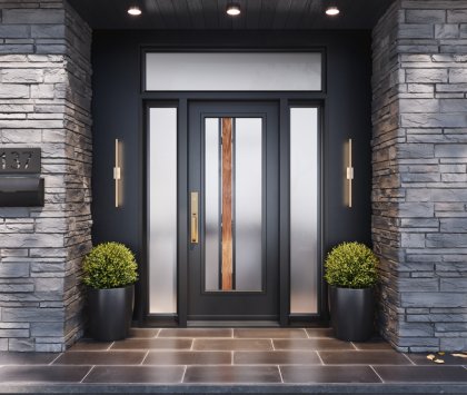 Porte d'acier contemporaine : Zen